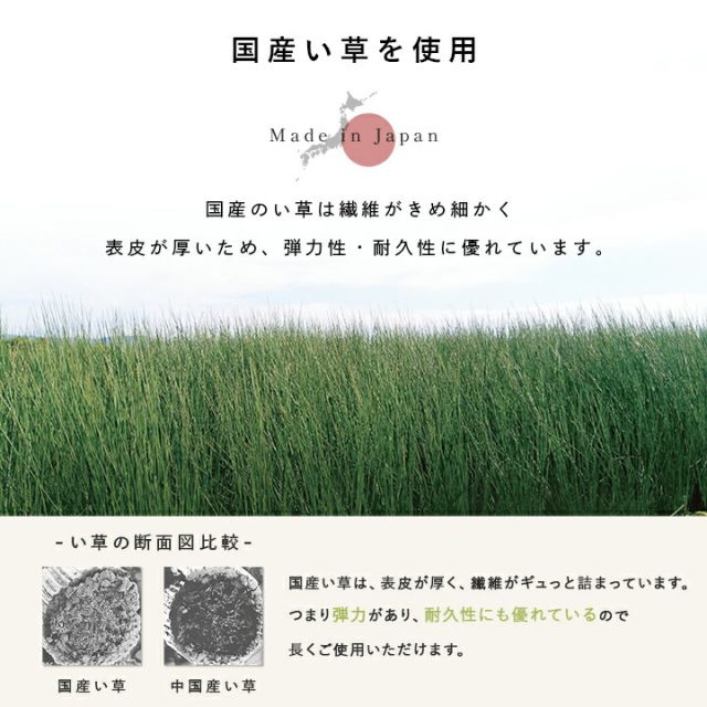 置き畳 国産 い草 簡単 和室 ベビー キッズ プレイマット フロアマット 約70×70cm 単品