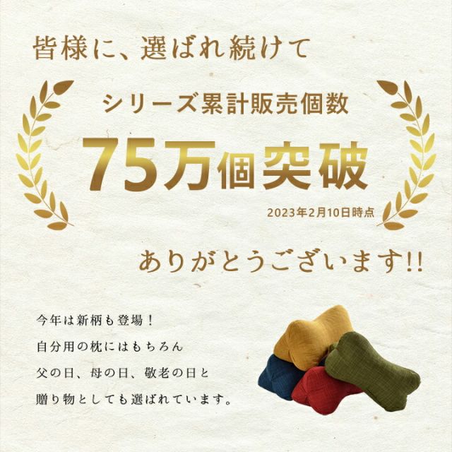 寝具 枕 くつろぐ もっちり 機能性 お昼寝 低反発チップ パイプ 日本製 ほね枕 足枕 約35×17cm
