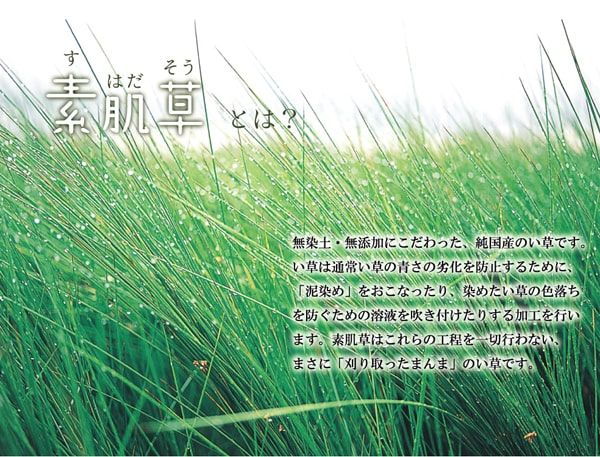 スーパSALE10倍＆4時間限定10％OFF 枕 まくら い草枕 消臭 ピロー 国産 無地 『ひやさら くぼみ枕』 約50×30cm 中材:い草チップ