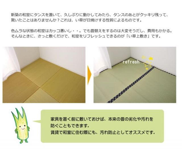 い草 上敷き い草上敷 はっ水 カーペット 無地 『撥水 湖水』 江戸間6畳(約261×352cm）