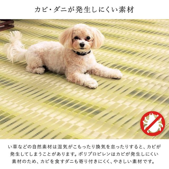 洗える ござ 日本製 国産 カーペット 丈夫 除菌スプレー対応 敷詰 ラグ 敷物 アウトドア レジャー ペット 江戸間3畳（約174×261cm）