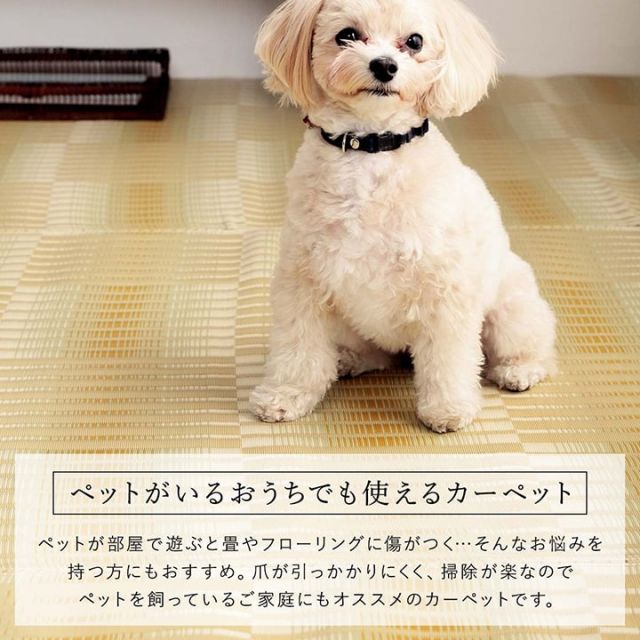 洗える ござ 日本製 国産 カーペット 丈夫 除菌スプレー対応 敷詰 ラグ 敷物 アウトドア レジャー ペット 本間2畳（約191×191cm）