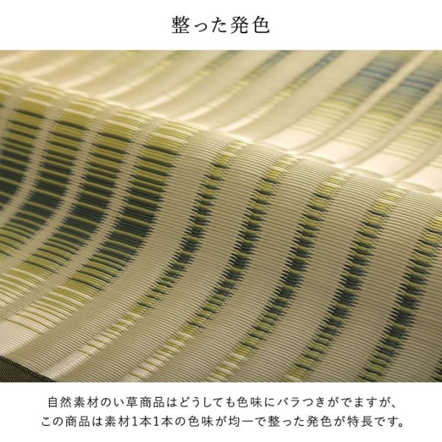洗える ござ 日本製 国産 カーペット 丈夫 除菌スプレー対応 敷詰 ラグ 敷物 アウトドア レジャー ペット 本間6畳（約286.5×382cm）