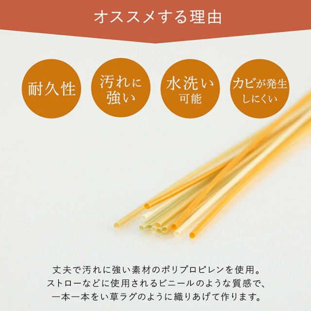 洗える ござ 日本製 国産 カーペット 丈夫 除菌スプレー対応 敷詰 ラグ 敷物 アウトドア レジャー ペット 江戸間8畳（約348×352cm）