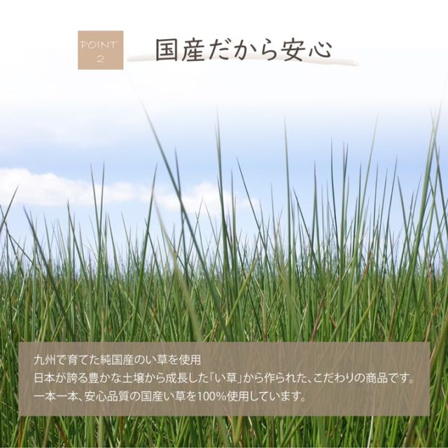 日本製 国産 消臭剤 い草 天然素材 デオグラス 帯白 約10×6.5cm丸