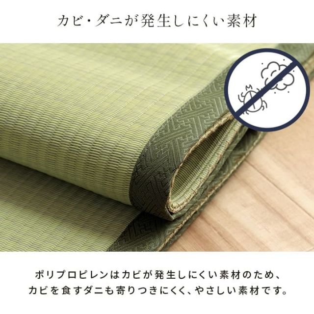 洗える ござ 日本製 国産 カーペット 丈夫 除菌スプレー対応 敷詰 ラグ 敷物 ペット 無地 江戸間2畳（約174×174cm）