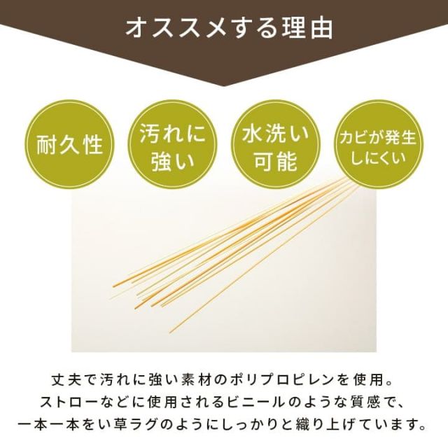 洗える ござ 日本製 国産 カーペット 丈夫 除菌スプレー対応 敷詰 ラグ 敷物 ペット 無地 江戸間8畳（約348×352cm）