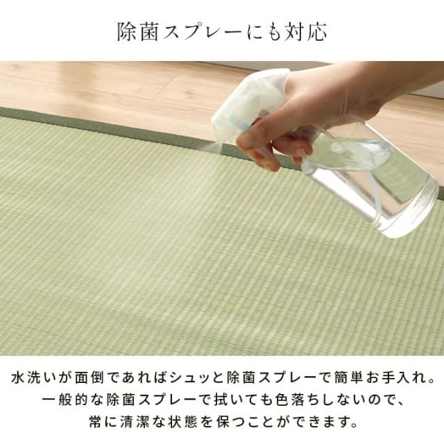 洗える ござ 日本製 国産 カーペット 丈夫 除菌スプレー対応 敷詰 ラグ 敷物 ペット 無地 江戸間10畳（約435×352cm）
