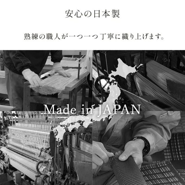 洗える ござ 日本製 国産 カーペット 丈夫 除菌スプレー対応 敷詰 ラグ 敷物 ペット 無地 江戸間1畳（約87×174cm）