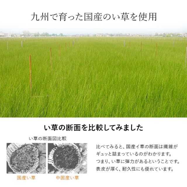 寝具 シーツ 敷きパッド 国産 日本製 さらさら 吸汗 調湿 消臭 お手入れ簡単 シングル 約88×200cm