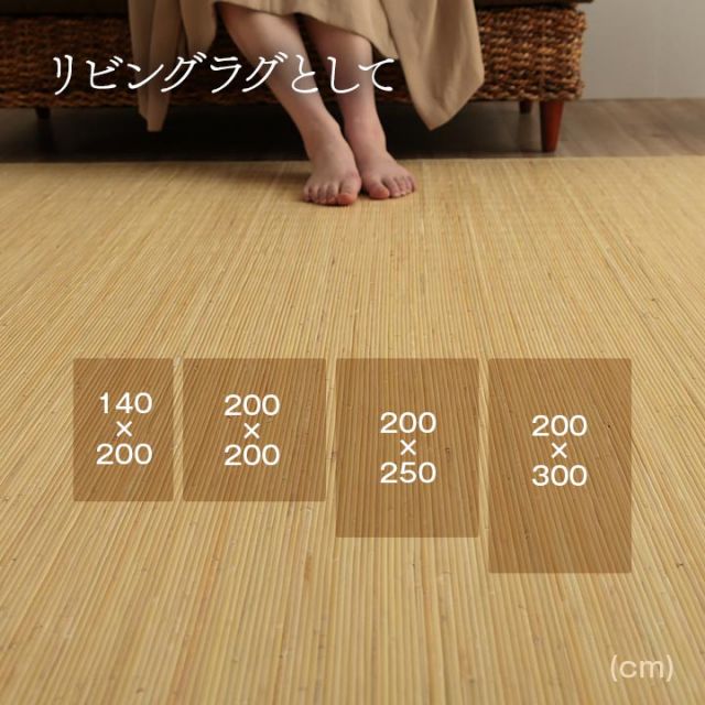 スーパSALE10倍＆4時間限定10％OFF 籐 ラグ カーペット 自然素材 ひんやり インドネシア産 むしろ 本間8畳 約200×300cm