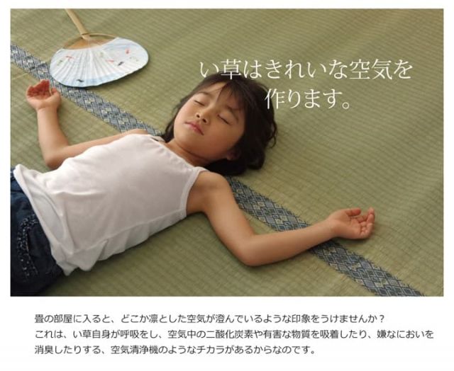純国産 い草 上敷き カーペット 糸引織 『柿田川』 本間3畳(約191×286cm）