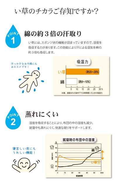 スーパSALE10倍＆4時間限定10％OFF 純国産 い草の敷きパット 『草ね 汗取りP』 約70×120cm