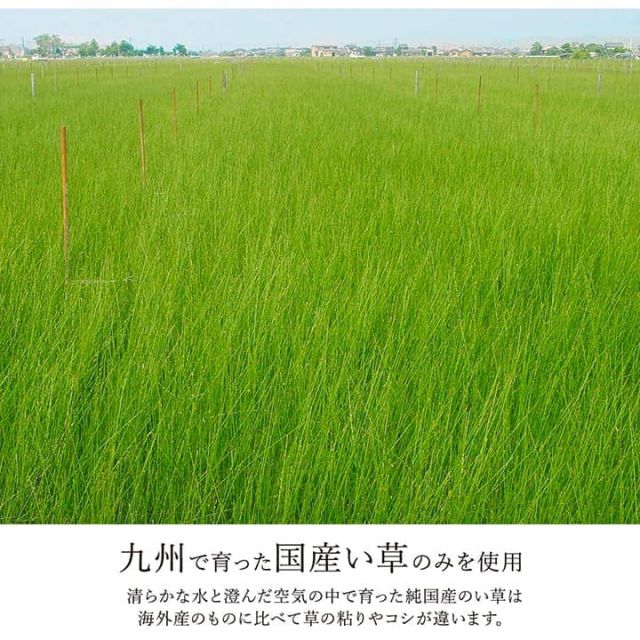 ラグ い草 モダン 純国産 国産 日本製 ウレタン 抗菌防臭 自然素材 ナチュラル 約191×191cm