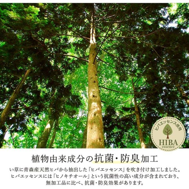 スーパSALE10倍＆4時間限定10％OFF ラグ い草 モダン 純国産 国産 日本製 ウレタン 抗菌防臭 自然素材 ナチュラル 約191×250cm