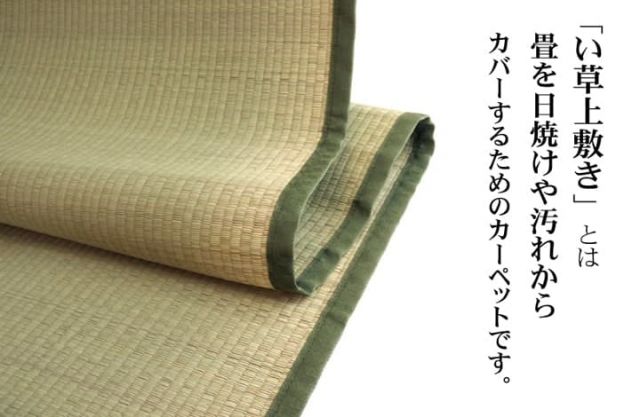 純国産 い草 上敷き カーペット 双目織 『草津』 本間8畳(約382×382cm）