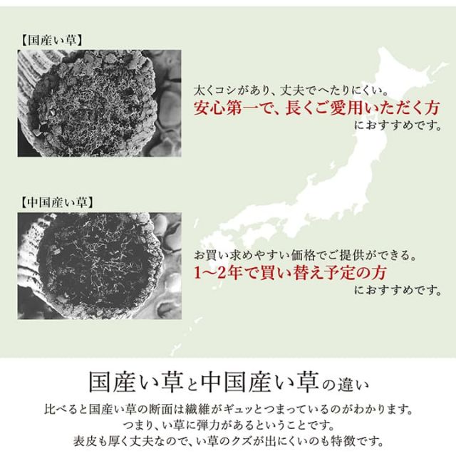 ラグ い草 モダン 純国産 国産 日本製 ウレタン 抗菌防臭 自然素材 ナチュラル 約191×191cm