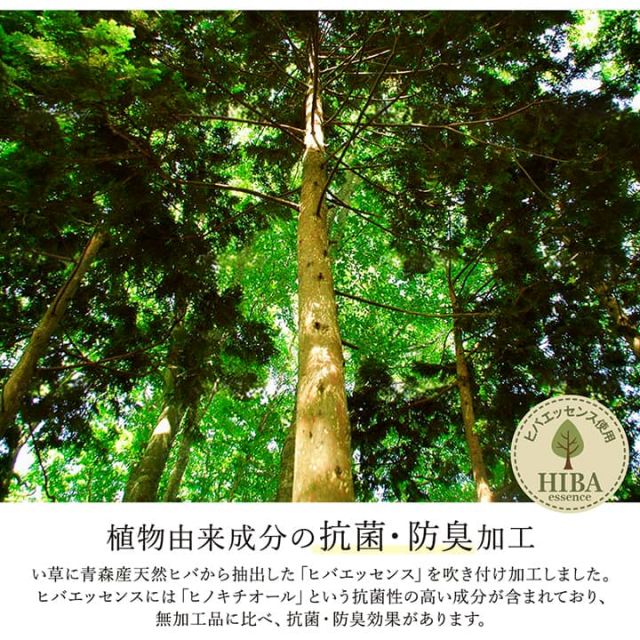 ラグ い草 モダン 純国産 国産 日本製 ウレタン 抗菌防臭 自然素材 ナチュラル 約191×191cm