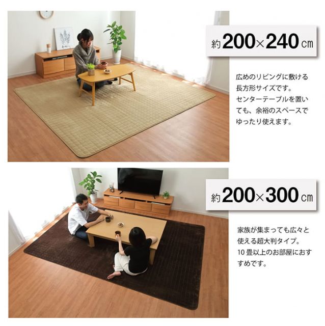 ラグ 滑りにくい 暖かい 保温 蓄熱 断熱 アルミ 無地 約200×240cm ホットカーペット対応