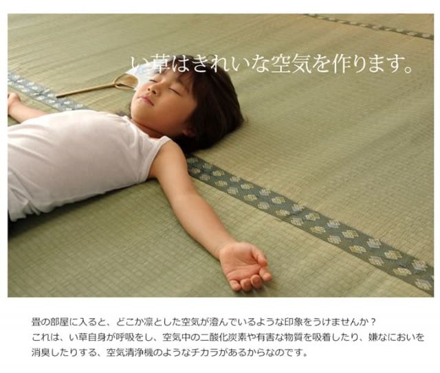 純国産 い草 上敷き カーペット 双目織 『松』 江戸間8畳(約352×352cm）