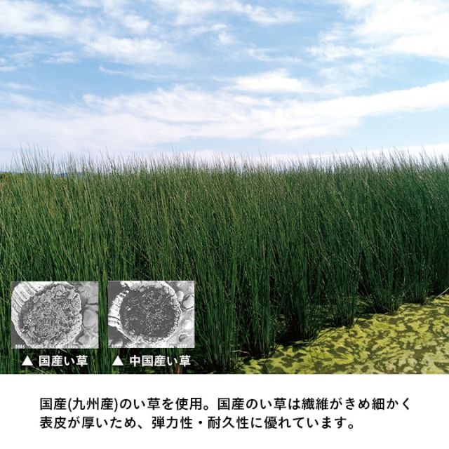 置き畳 い草 日本製 消臭 抗菌防臭 ダニ増殖抑制 無地 約82×82×1.8cm 4P 4枚組