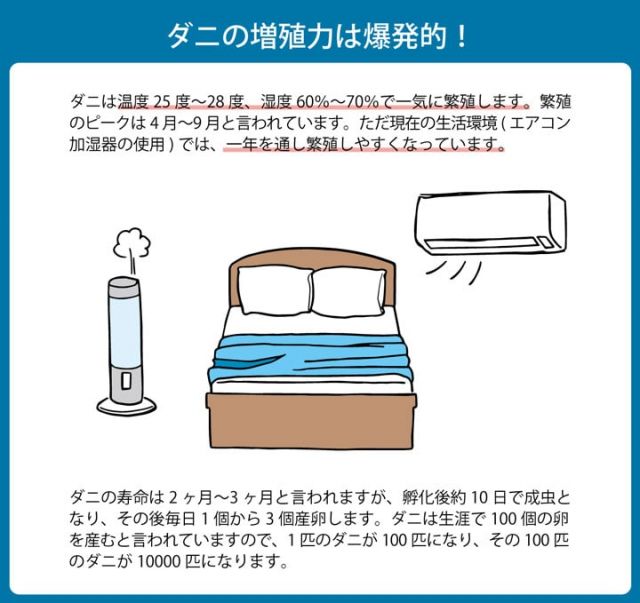 寝具 清潔 快適 敷き布団 ダニ増殖抑制 日本製 無地 シンプル シングル ベッド用 約95×195cm