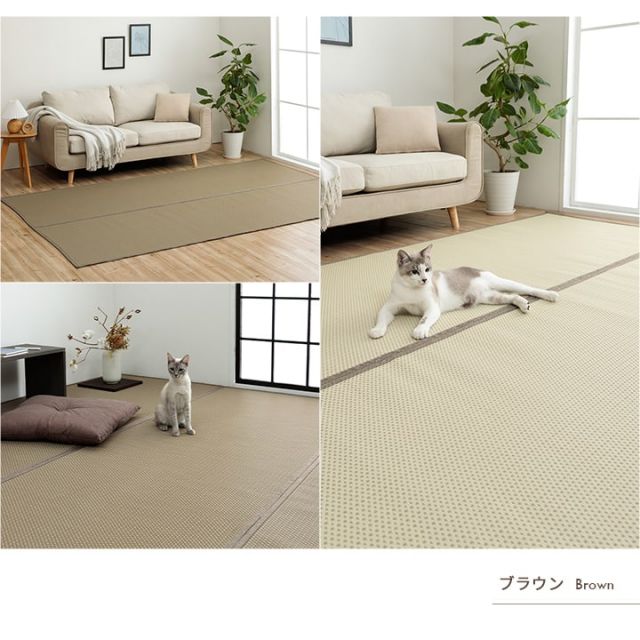 洗える ござ 日本製 国産 カーペット リバーシブル 丈夫 除菌スプレー対応 敷詰 ラグ 敷物 ペット 江戸間2畳（約174×174cm）