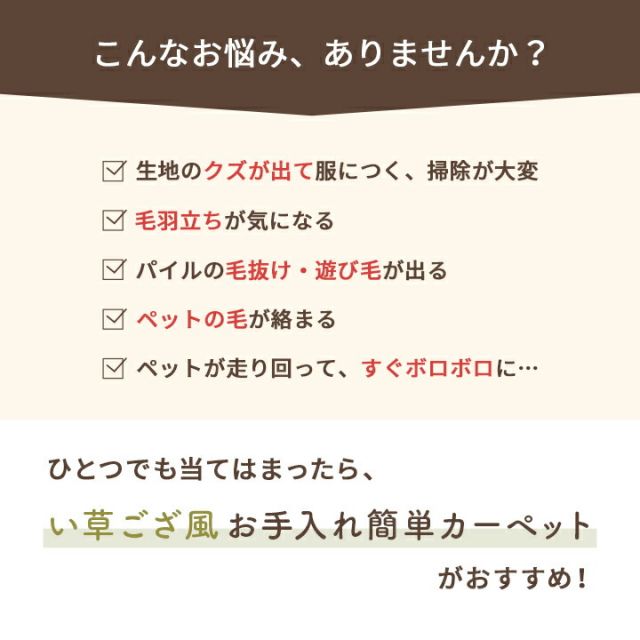 洗える ござ 日本製 国産 カーペット リバーシブル 丈夫 除菌スプレー対応 敷詰 ラグ 敷物 ペット 江戸間2畳（約174×174cm）