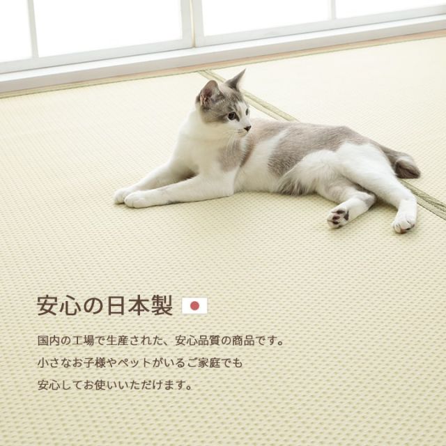 洗える ござ 日本製 国産 カーペット リバーシブル 丈夫 除菌スプレー対応 敷詰 ラグ 敷物 ペット 江戸間6畳（約261×352cm）
