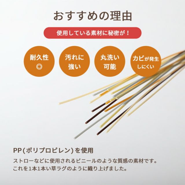洗える ござ 日本製 国産 カーペット リバーシブル 丈夫 除菌スプレー対応 敷詰 ラグ 敷物 ペット 江戸間6畳（約261×352cm）