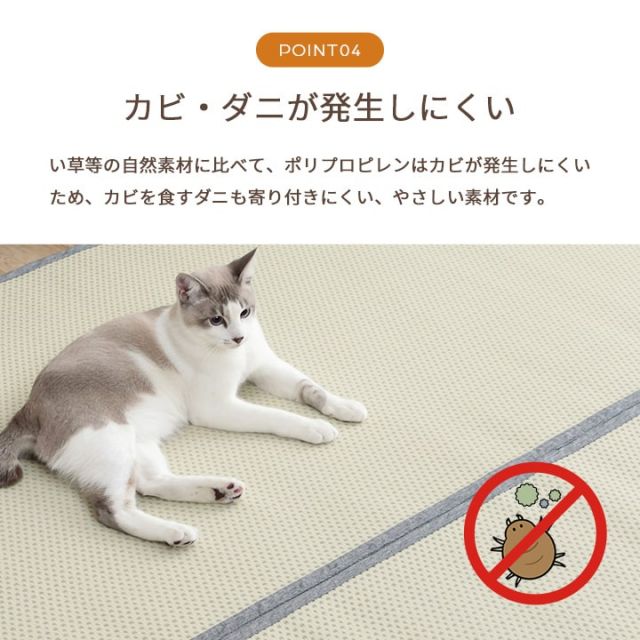 洗える ござ 日本製 国産 カーペット リバーシブル 丈夫 除菌スプレー対応 敷詰 ラグ 敷物 ペット 江戸間6畳（約261×352cm）