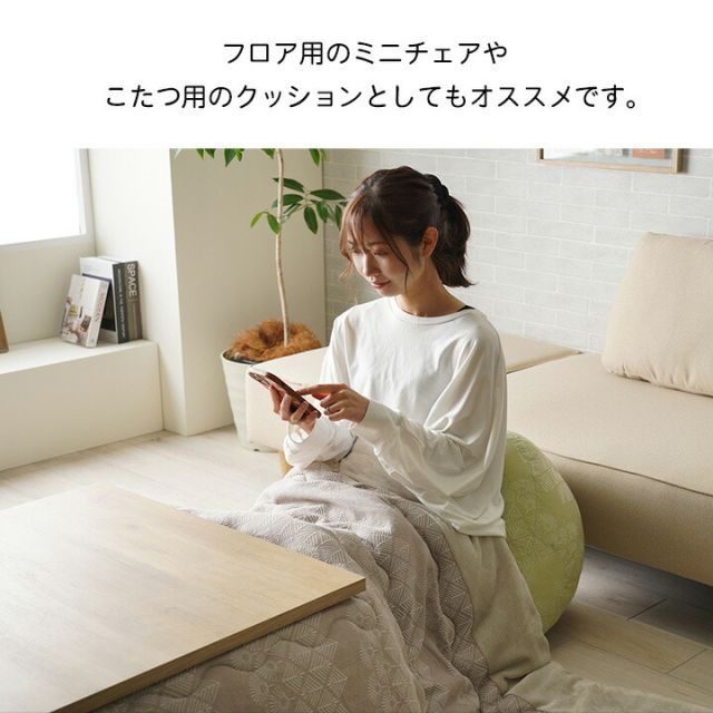クッション 座椅子 ビーズ 背もたれ ソファー おしゃれ ジャパンディ ミニ 約50×50cm