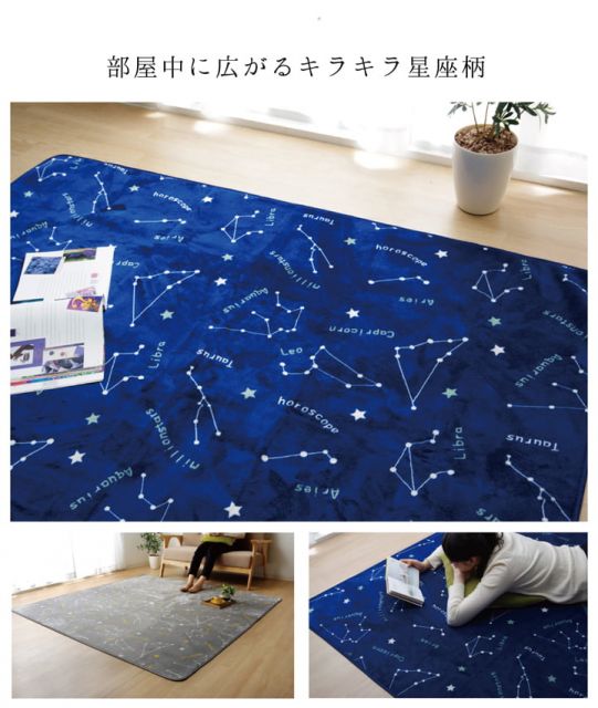 抗菌・防臭 ウォッシャブル フランネル ホットカーペットカバー 『WSミリオン RUG」約200×250cm