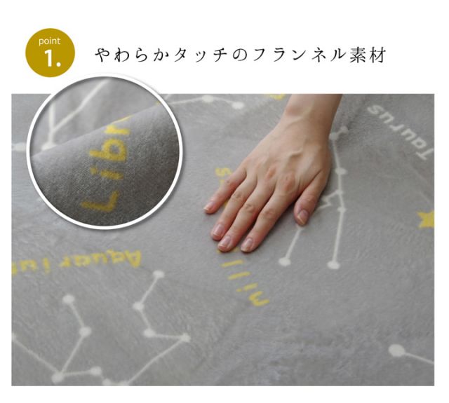 抗菌・防臭 ウォッシャブル フランネル ホットカーペットカバー 『WSミリオン RUG」約200×300cm
