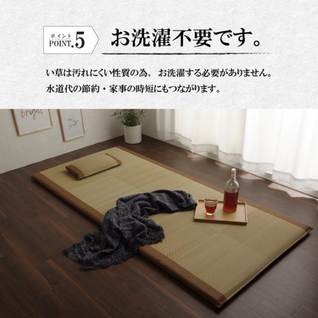 スーパSALE10倍＆4時間限定10％OFF い草 い草マット 国産 ごろ寝マット フリーマット 枕付 シングル （マット 約90×200cm）（枕 約40×20cm）
