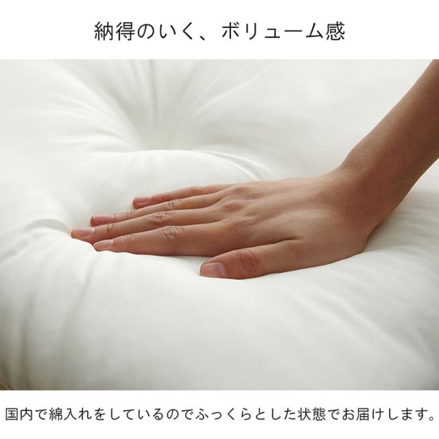 ヌードクッション 座布団 国産 座布団 銘仙判 日本製 約55×59cm 5枚組