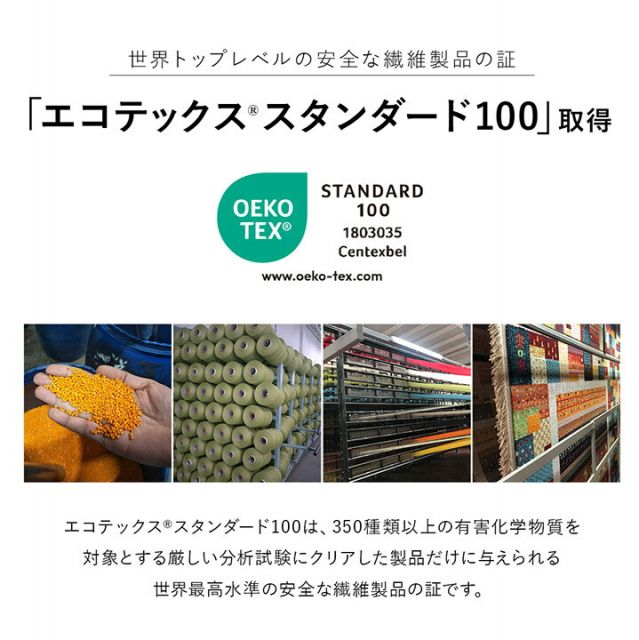 玄関 マット トルコ製 ウィルトン 織り 民族柄 エスニック モダン シンプル ナチュラル 立体感 抗菌防臭 消臭 丈夫 へたりにくい 1年中 ソファー前用 ベッドサイド用 約60×90cm
