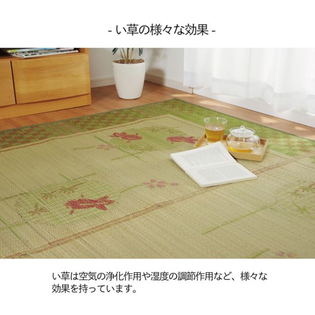い草ラグ 消臭 カーペット 長方形 約191×250cm (裏:不織布) 滑りにくい加工