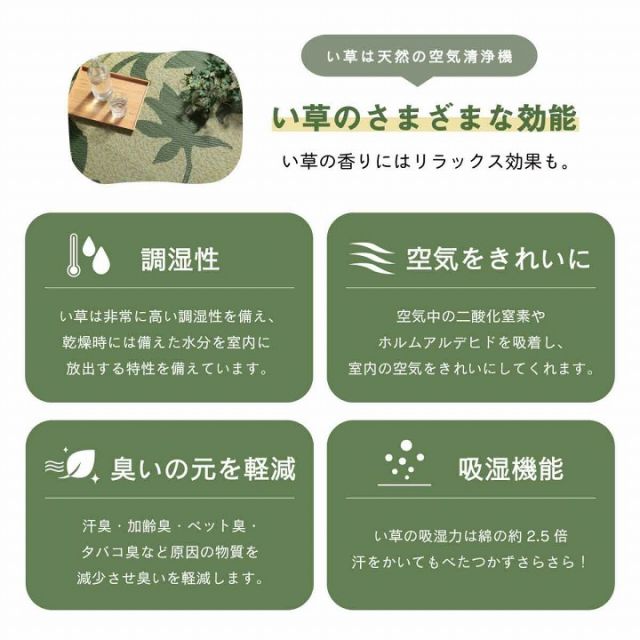 ラグ 長方形 い草 リーフ 自然素材 抗菌防臭 滑り止め不織布 約191×250cm