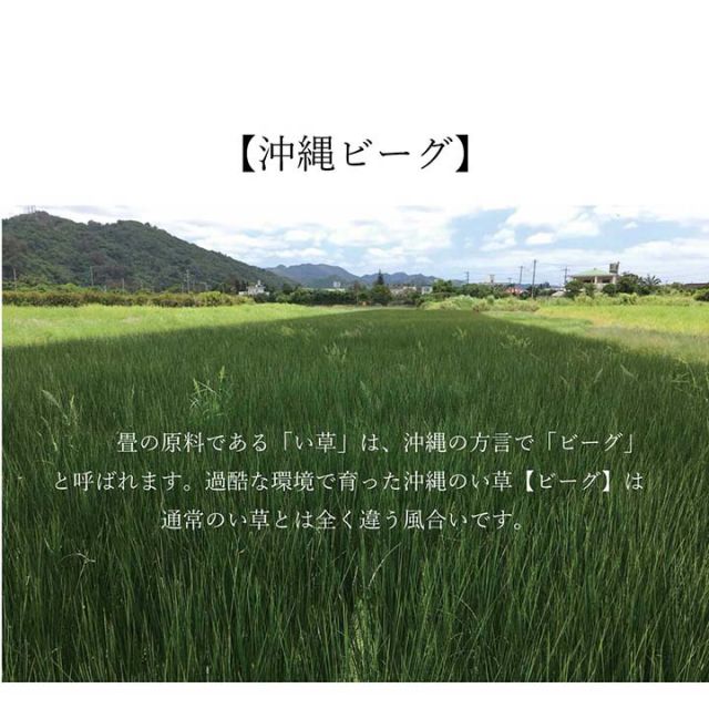 ラグ マット 正方形 い草 夏用 沖縄ビーグ 191×191cm