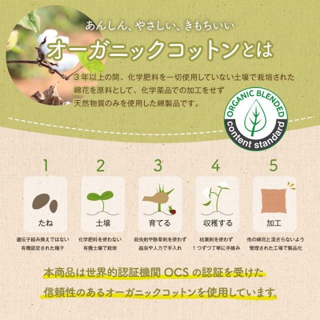 スーパSALE10倍＆4時間限定10％OFF クッション シート 椅子 日本製 オーガニックコットン 綿100% ボーダー 洗える 約43×43cm