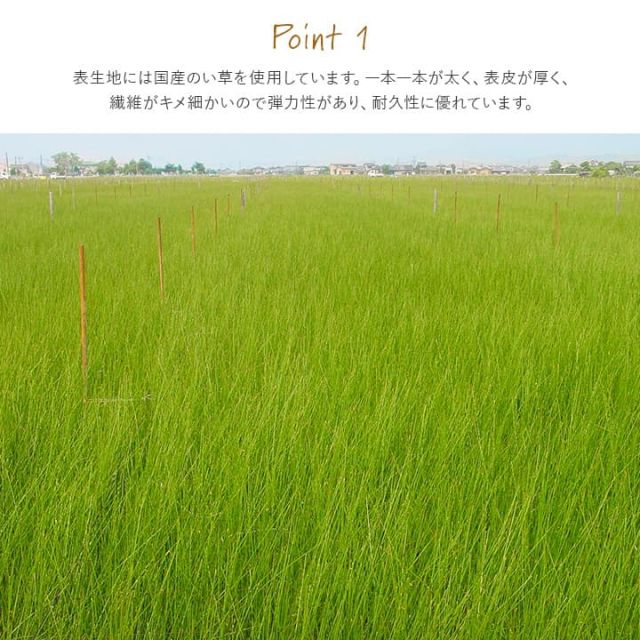 撥水 国産 い草 日本製 置き畳 ユニット畳 簡単 和室 ナチュラル 約88×176cm 単品