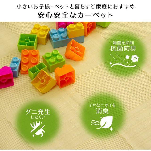 ラグ 洗える カーペット 日本製 国産 抗菌 防臭 消臭 アウトドア レジャー 敷物 和室 シンプル 江戸間6畳(約261×352cm)