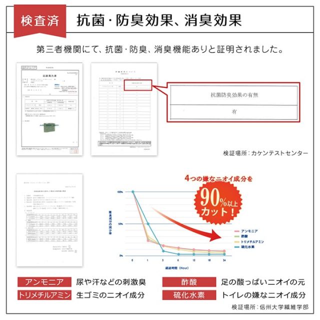 ラグ 洗える カーペット 日本製 国産 抗菌 防臭 消臭 アウトドア レジャー 敷物 和室 シンプル 江戸間6畳(約261×352cm)