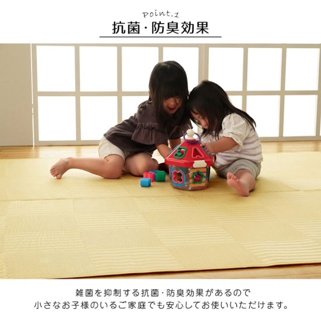 ラグ 洗える カーペット 日本製 国産 抗菌 防臭 消臭 アウトドア レジャー 敷物 和室 シンプル 江戸間1畳(約87×174cm)