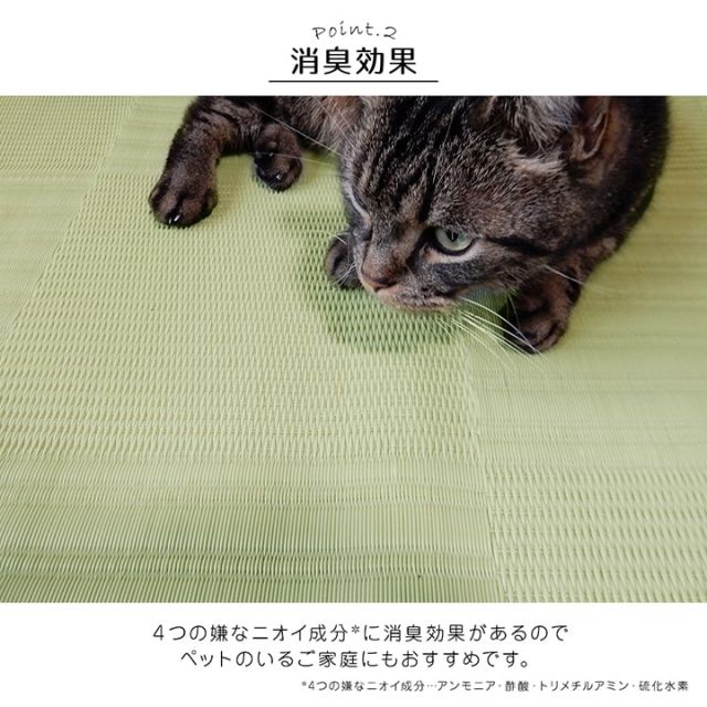 ラグ 洗える カーペット 日本製 国産 抗菌 防臭 消臭 アウトドア レジャー 敷物 和室 シンプル 江戸間1畳(約87×174cm)