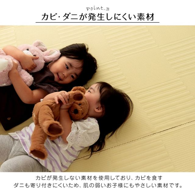 ラグ 洗える カーペット 日本製 国産 抗菌 防臭 消臭 アウトドア レジャー 敷物 和室 シンプル 江戸間1畳(約87×174cm)
