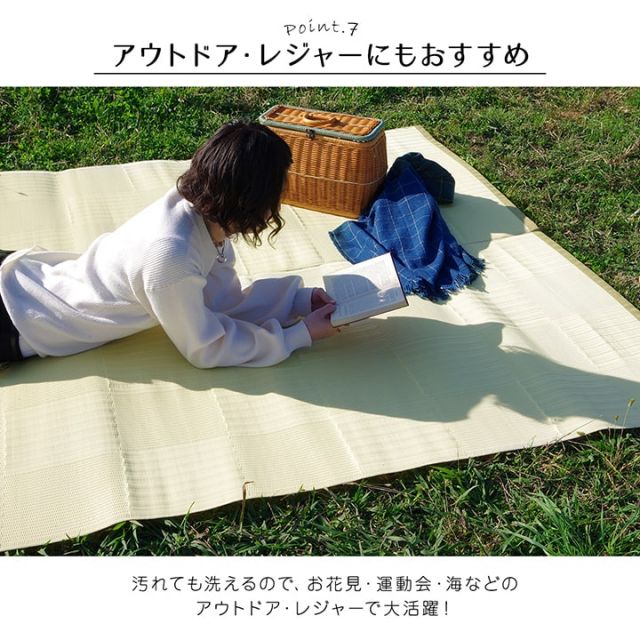 ラグ 洗える カーペット 日本製 国産 抗菌 防臭 消臭 アウトドア レジャー 敷物 和室 シンプル 江戸間1畳(約87×174cm)