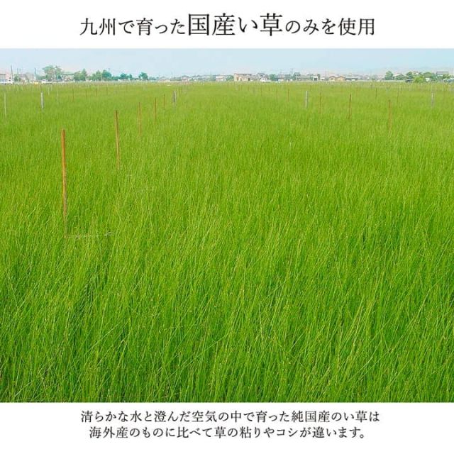 敷物 花ござ 国産 純国産 日本製 い草 モダン 抗菌防臭 自然素材 江戸間2畳 約174×174cm