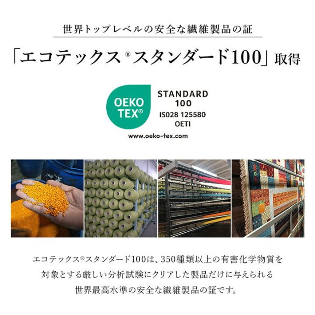 玄関 マット トルコ製 ウィルトン 織り クラシカル柄 エレガンス柄 上品 ヒートセット加工 立体感 高目付 肌触り柔らか 抗菌防臭 消臭 丈夫 へたりにくい ソファー前用 ベッドサイド用 約60×90cm